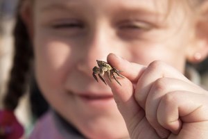 fhghhjdfhgdfjhgjdfhjkdhgjhfjkghdfjkhgjkhgkjfgcjkfvhgjkfgjkhdfgfjdhfgfgdgjhdfh